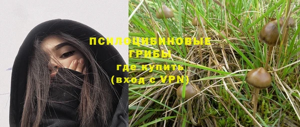 spice Богородск