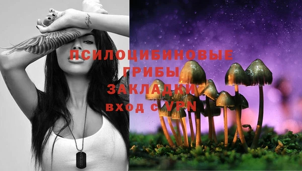 spice Богородск