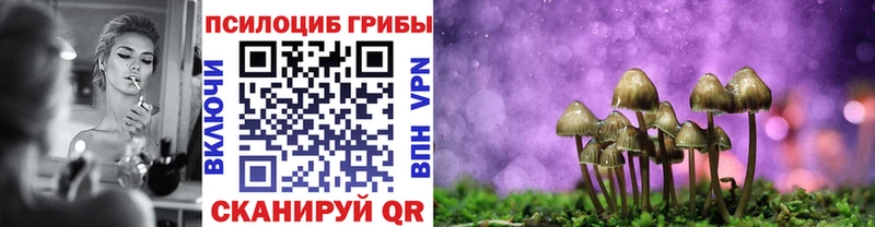 Псилоцибиновые грибы мухоморы Козловка